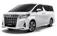 Ремонт Tayota ALPHARD III (15-23)